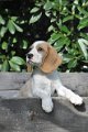 Afb_20120810_Happy (4)